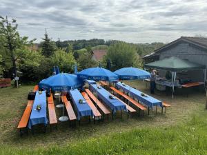 IMG 9880